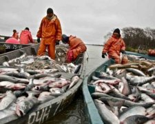 Казахстан не відмовиться від санкційної норвезької риби