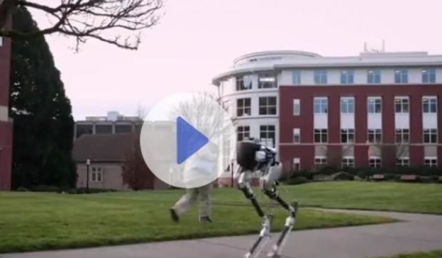 Скоростной робот поможет в экстремальных условиях (видео)