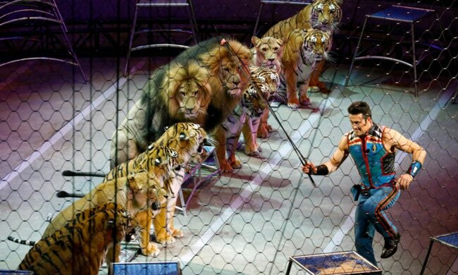 Скандальний цирк братів Гертнер їде у Дніпро, містяни лютують: "Не дозволимо знущатися"