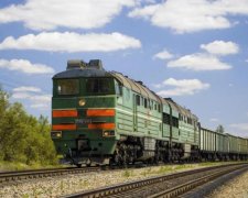 Скандальная Фарион изобрела свежее наказание для россиян