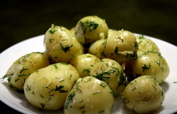 Можно получить отравление: почему не стоит есть горчащий картофель.