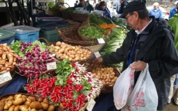 Зарплата vs цены: продукты съели доходы украинцев