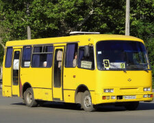 Сумкою в обличчя, кулаком у спину: здичавілі киянки влаштували жорсткі бої в маршрутці, скандальне відео