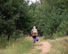 Під Вінницею зник 90-річний любитель пригод: "Пішов по гриби і..."