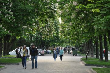 Київ, утепляйся: синоптики розповіли, яка погода чекає столицю 16 вересня