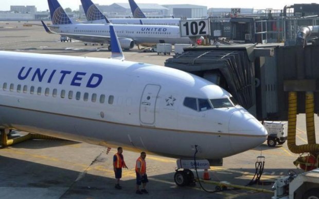 United Airlines угодила в новый скандал со скорпионом 