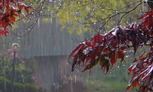 Дощ, скриншот youtube Звуки природы Павел Relaxik