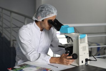 Вчені знайшли ключ до вічного життя: мозок вдалося воскресити після смерті