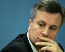 Гонтарева найняла піарників в США і приховує свої офшори - Наливайченко