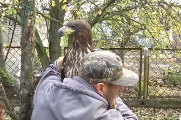 орнітолог-самоучка з орланом / скріншот з відео