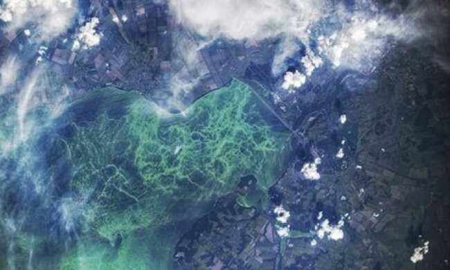 Вид із МКС: як цвіте Кременчуцьке море