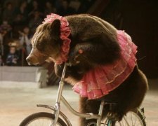Латвія добилась того, за що в Україні лише починають боротись