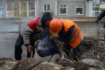 Цеглина на голову: розлючені кияни "віддячили" комунальникам Кличка