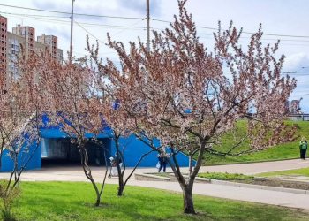 Українці, весна, фото із соцмереж