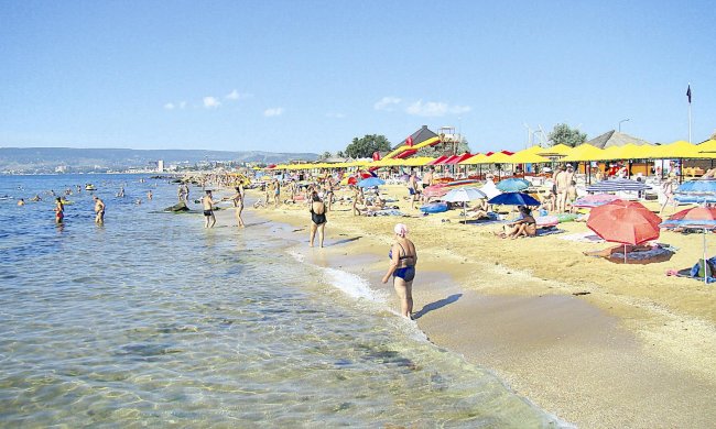 "Орально. Стыд! Я в шоке. Это ад, в котором мы провели 3 суток", - отдых в Крыму шокировал даже россиян