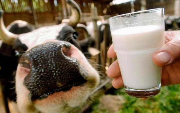Не пийте, діти, молоко, будете здорові: 6 причин виключити цей продукт з раціону