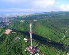 Телевежа, фото: вільне джерело