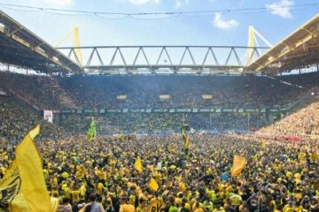 Голий фанат "Боруссії" бігав по стадіону 