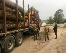 Приїзд Зеленського не допоміг: під Харковом "чорні лісоруби" побили журналістів, - підловили "в справі"