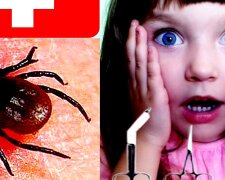 Хвороба Лайма