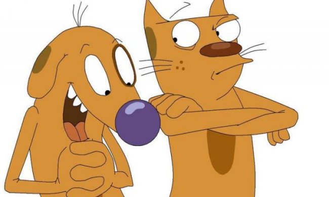 Настоящий КотПес покорил Instagram