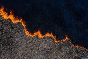 Пожар в Чернобыле, фото Facebook ГСЧС