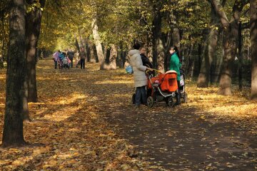 Неделя в Виннице начнется по-королевски: чем порадовали синоптики 4 ноября