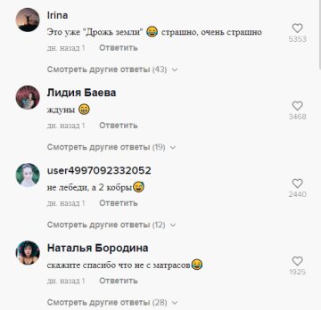 Комментарии, скриншот: TikTok ("Лебеди" в отелях)
