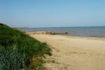 Теплі краї зачекають: в Одесі помітили птаха неймовірної краси, - розступися, море