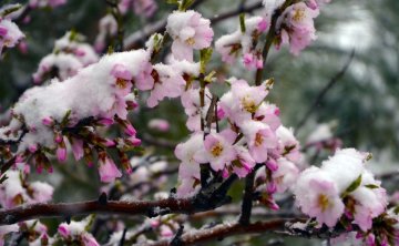 Погода на 9 мая: стало известно, где ночью будут заморозки