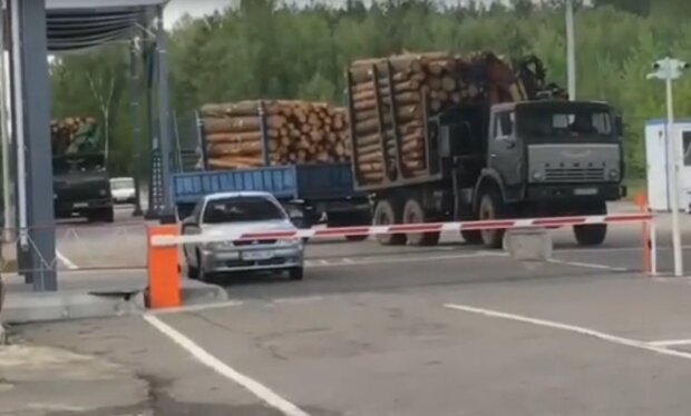 из Чернобыля массово вывозят лес-кругляк, скрин с видео