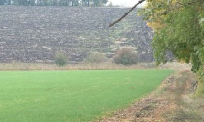 На Львовщине предприниматель вернул 60 га полученной незаконно земли