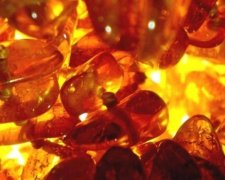 Підпільний бурштиновий цех знайшли під Києвом