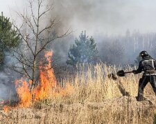 Пожежа в лісі - фото УНН