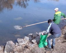 Тотальний мор: у мережу злили моторошне відео з Харкова