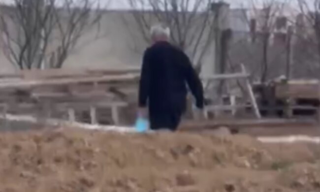 Шкуродер розправився з котом, кадр з відео