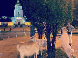 Погода, фото facebook Наталки Диденко