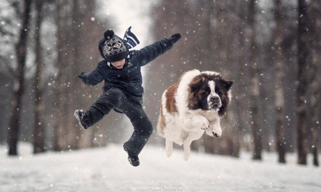 Комаровський розповів, що робити, якщо у дитини алергія на тварин