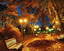 Осень пришла: какие сюрпризы подготовила погода