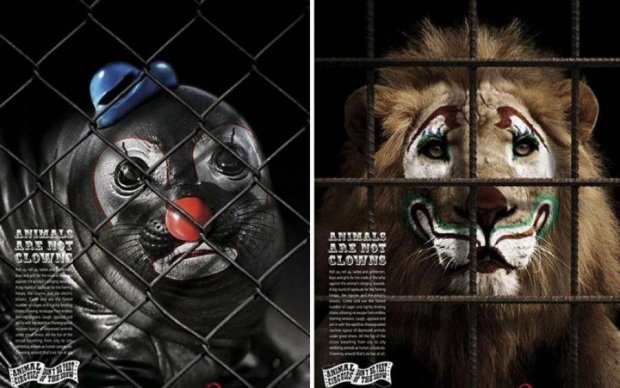 Цирк без тварин: мирний протест закінчився бійнею з копами