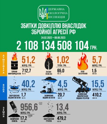 інфографіка Держекоінспекції