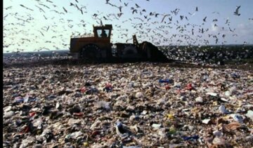 Львівське сміття забере Кличко
