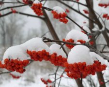 Сегодня народный праздник Антон Перезимник  30 января: поверья и приметы