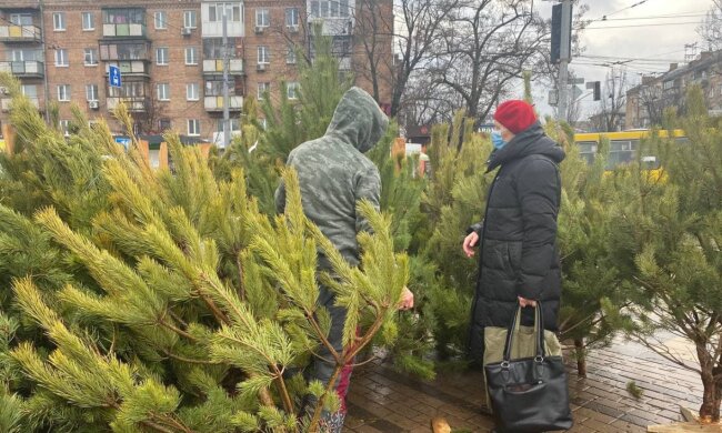 Новорічні ялинки, скріншот: YouTube