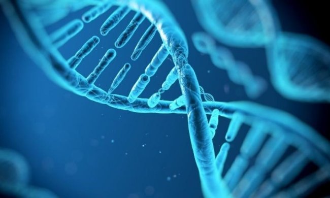 Учені записали інформацію в геном бактерій