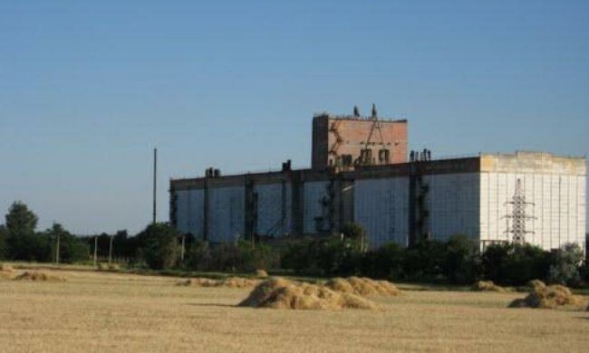 Новоайдарский элеватор захватили вооруженные рейдеры - "Хлеб Украины"