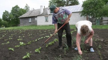 Половина росіян виживають за рахунок власних городів
