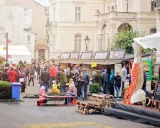 Хмельные выходные во Львове: украинцев приглашают на фестиваль сыра и вина