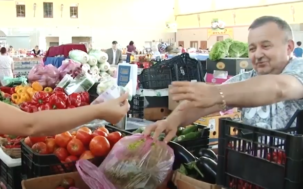 Консервация получится "золотой": цены на огурцы и помидоры – будет ли дешевле