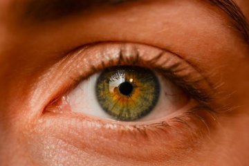 Американцы нашли способ полностью вылечить слепоту, но какой ценой… 
